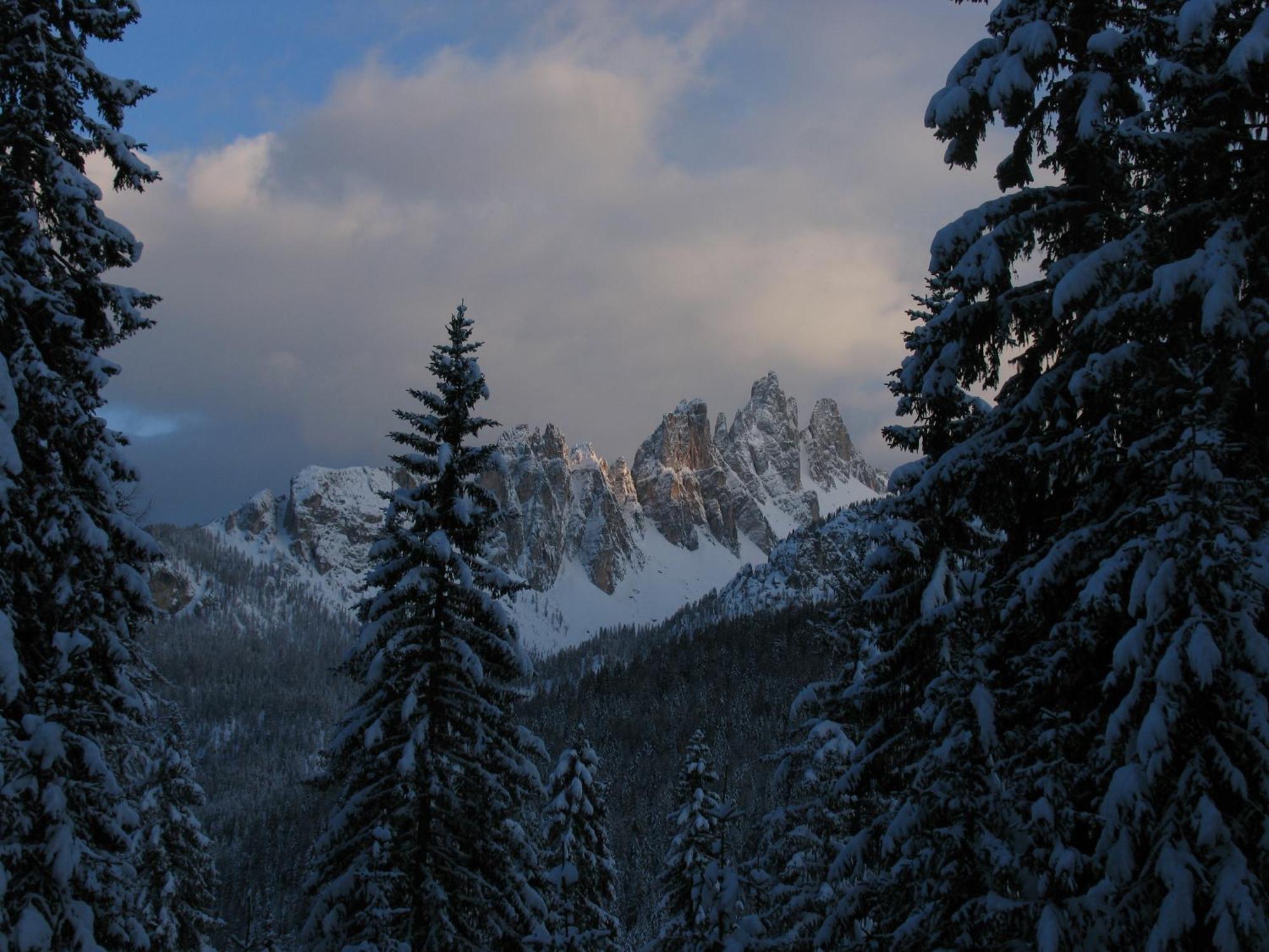 Ciasa Vervei Cortina d'Ampezzo Ngoại thất bức ảnh